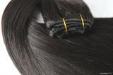 Clip in Virgin Remy Human Hair Clip In Extensions Dark Brown #2